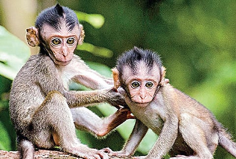 கதைக் குறள் 40: நாவினால் சுட்ட புண் ஆறாது