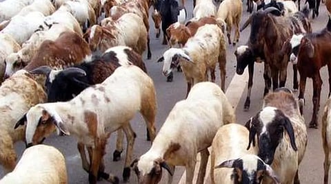 கோப்புப்படம்