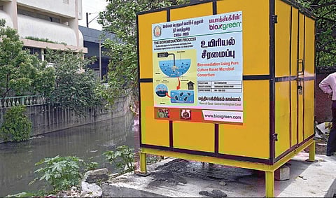 பழம்பெருமையை மீட்கும் பக்கிங்ஹாம் கால்வாய் - கழிவுநீரை நன்னீராக மாற்றும் ‘உயிரியல் சீரமைப்பு’ பணி தீவிரம்