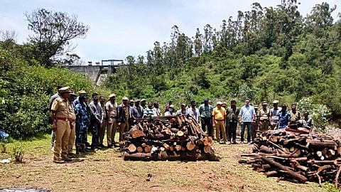 வனத்துறையினர் புலிகளின் உடல்களை எரியூட்டனர்