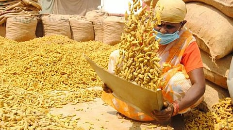 ஈரோட்டில் மஞ்சள் குவிண்டால் ரூ.13,000-க்கு விற்பனை - ஒரே மாதத்தில் ரூ.2,000 விலை சரிவு