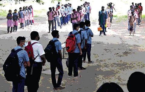 எல்கேஜி ஸ்டூடண்டா ஏடிஸ் ஈஜிப்டி வகை கொசுக்கள்?! - பள்ளிகளில் டெங்கு கொசு ஒழிப்பை தீவிரப்படுத்த கோரிக்கை