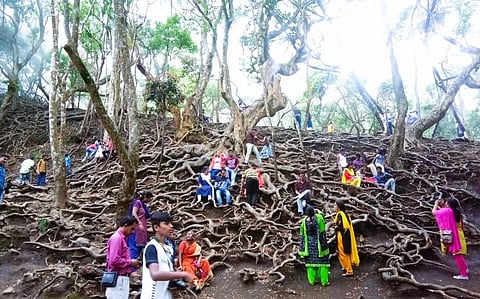 கோப்புப்படம்