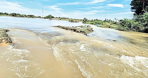 அமணம்பாக்கம் ஏரி கரை உடைக்கப்பட்டதால் அதிலிருந்து வெளியேறும் தண்ணீர்.﻿﻿