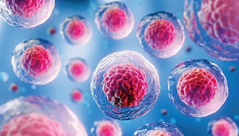 விடை தேடும் அறிவியல் 22: ஏன் செல்கள் புதுப்பிக்கப்பட வேண்டும்?