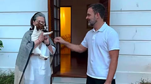 சோனியாவுக்கு நாய்க்குட்டியை பரிசளித்த ராகுல்