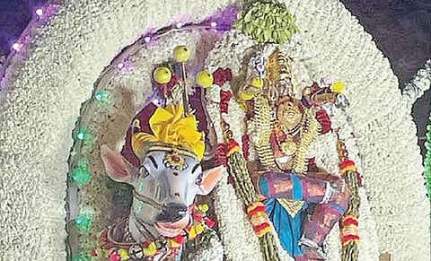 பரவை கிராமத்தில் நடைபெறும் புரட்டாசி விழாவில் வீதியுலா வந்து பக்தர்களுக்கு காட்சியளித்த முத்துநாயகி அம்மன்.