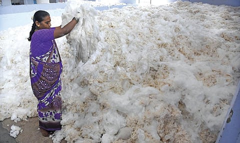 கோவை நூற்பாலை வளாகத்தில் வைக்கப்பட்டுள்ள பஞ்சு. (கோப்பு படம்)