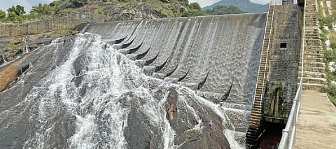 பழநியில் 4-வது முறையாக நிரம்பி வழிந்த வரதமாநதி அணை. 	படம்: ஆ.நல்லசிவன்