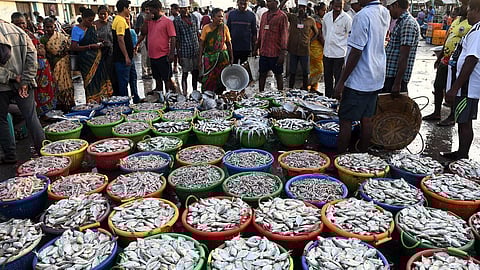 காசிமேடு மீன்பிடித் துறைமுகத்தை மீன்வளப் பூங்காவாக அறிவிக்க மீனவர் சங்கம் கோரிக்கை