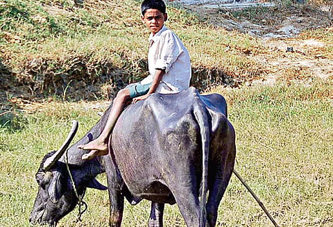 கதைக் குறள் 44: அன்பு இல்லாவிட்டால் என்ன நடக்கும்?