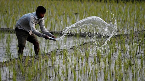 பிரதிநிதித்துவப் படம்