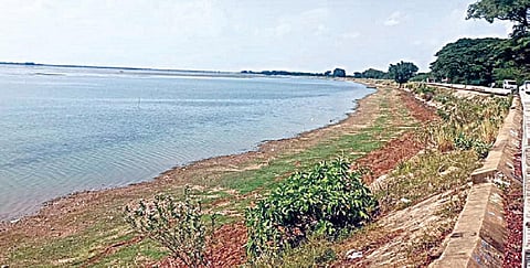 குறைந்த அளவே தண்ணீர் உள்ள வீராணம் ஏரி.