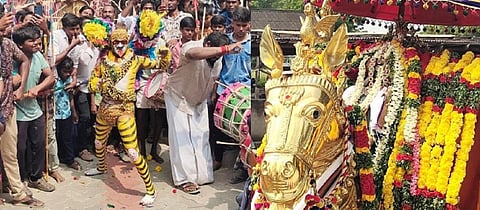 விருதுநகரில் பாரம்பரியத்தை பறைசாற்றும் புலியாட்டத்துடன் நடைபெற்ற மகர்நோன்புத் திருவிழா