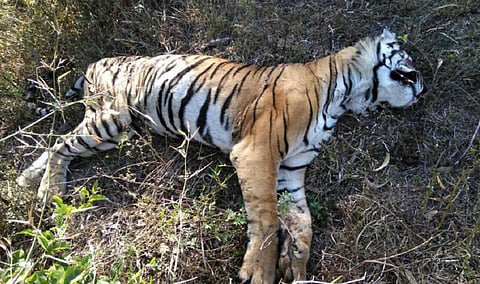 பிரதிநிதித்துவப் படம்