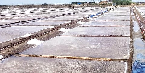 திருத்துறைப்பூண்டி - அகஸ்தியம்பள்ளி அகல ரயில் பாதை பணிகள் நிறைவு: உப்பு உற்பத்தியாளர்கள் மகிழ்ச்சி