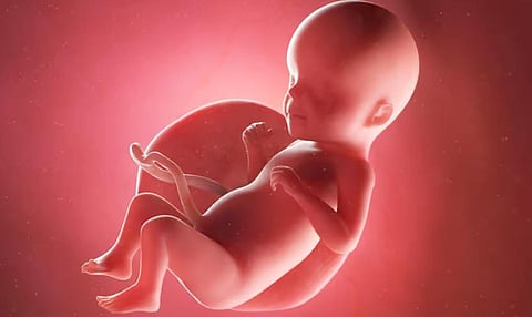 சொல்… பொருள்… தெளிவு - கருக்கலைப்பு திருத்தச்சட்டம்