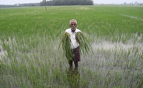 பாகூர் சுற்று வட்டாரத்தில் கனமழை - நெற் பயிர்கள் நீரில் மூழ்கின