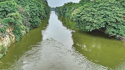 தஞ்சாவூர் கல்லணைக் கால்வாய் ஆற்றில் செல்லும் மழைநீர். | படம்: ஆர்.வெங்கடேஷ்