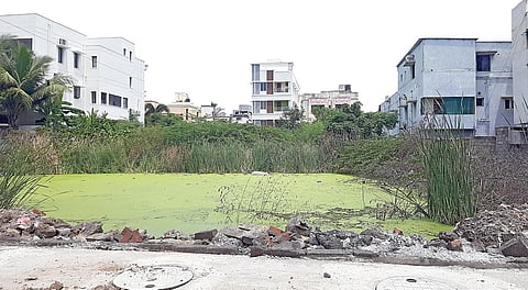 மடிப்பாக்கம் ராம்நகர் மற்றும் சதாசிவ நகர் பகுதிகளில் உள்ள காலிமனைகளில் தேங்கியிருக்கும் கழிவுநீர், குப்பை. | 
படங்கள்: எம்.முத்துகணேஷ்