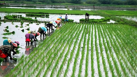 கோப்புப்படம்