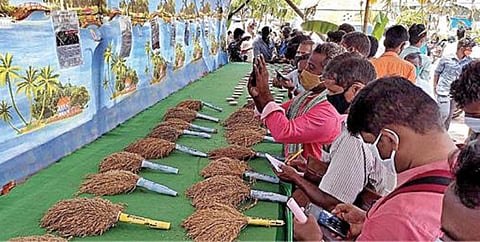 பருவமழை காலங்களில் பாரம்பரிய நெல் ரகங்களை பாதுகாக்கும் வழிமுறைகள்