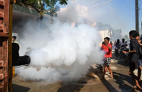 மதுரையில் டெங்கு காய்ச்சல் அதிகரிப்பு: தினந்தோறும் புதிதாக 6 முதல் 7 பேர் பாதிப்பு