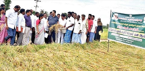 கலவை வட்டம் சென்னசமுத்திரம் கிராமத்தில் மிக்ஜாம் புயல் காரணமாக அறுவடைக்கு தயாராக இருந்த நெற்பயிர்கள் சேதமடைந்ததை நேற்று ஆய்வு செய்த அமைச்சர் ஆர்.காந்தி. அருகில், மாவட்ட ஆட்சியர் வளர்மதி உள்ளிட்டோர்.