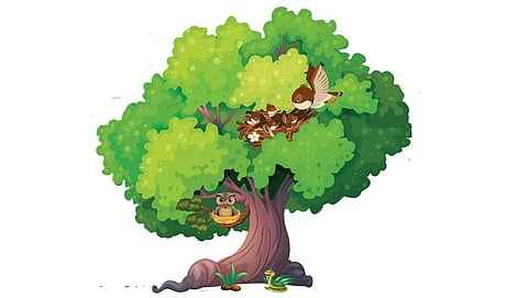 கதை: அது என்ன அலறல்?