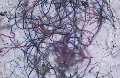 மைக்ரோ பிளாஸ்டிக் மாசு அதிகரிப்புக்கு வீடுகளில் பயன்படுத்தப்படும் பொருட்களே முக்கிய காரணம்: சென்னை ஐஐடி