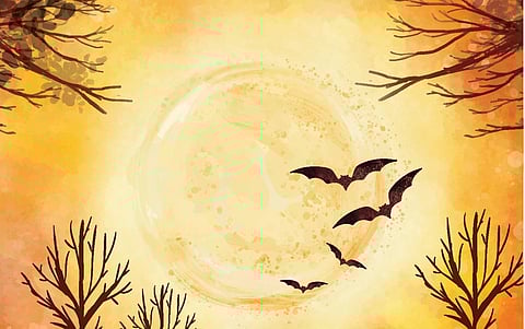 திண்ணைப் பேச்சு 30: நிலவொளியில் பறக்கும் ஹைகூ கவிதைகள்!