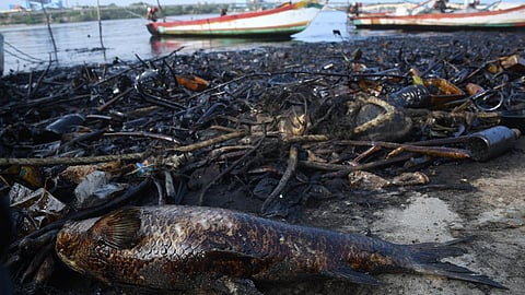 எண்ணூர் எண்ணெய் கழிவுகளை சிபிசிஎல் டிச.17-ம் தேதிக்குள் அகற்ற வேண்டும்: தேசிய பசுமை தீர்ப்பாயம் உத்தரவு