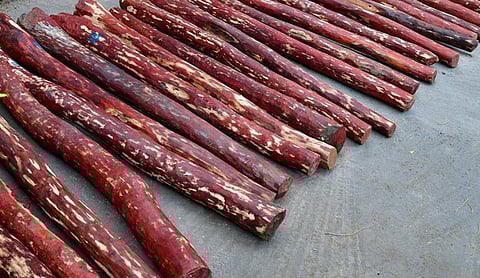 கோப்புப் படம்