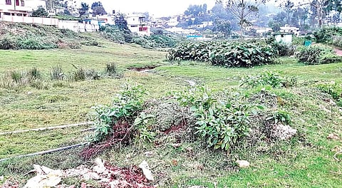 கட்டிட கழிவுகள் கொட்டப்படுவதால் மாசுபடும் கோத்தகிரி ரைபிள் ரேஞ்ச் சதுப்பு நிலம்.