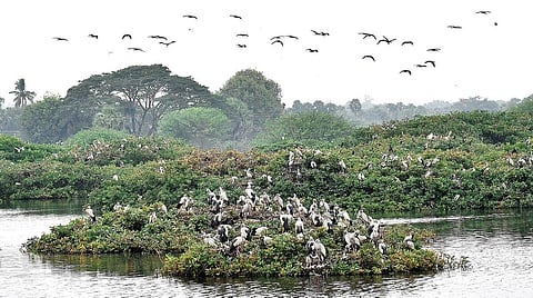 நம் அருகே இருக்கும் இயற்கைத் தலங்கள்