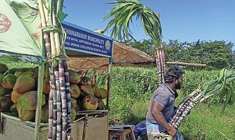 சின்னமனூர் புறவழிச்சாலையில் சில்லறை விற்பனைக்காக வைக்கப்பட்டுள்ள கரும்பு.