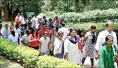 நீலகிரி மாவட்டம் குன்னூர் சிம்ஸ் பூங்காவில் நேற்று குவிந்த சுற்றுலாப் பயணிகள்.