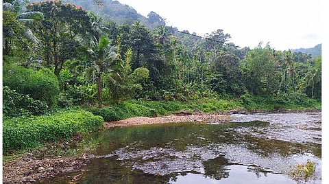 யானைகள் இறங்கிய கரிமலை மழை இரவு! - சபரிமலை பெருவழிப் பாதை அனுபவம் | நிறுத்தம் 2