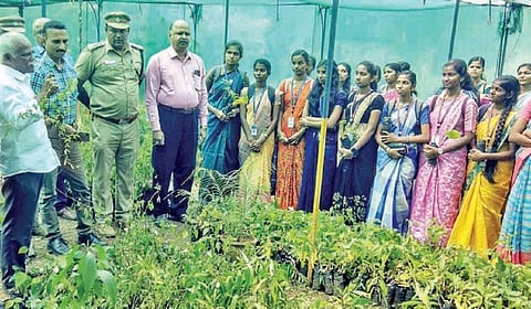 வடகோவையில் உள்ள வனமரபியல் கோட்ட அலுவலக வளாகத்தில் நேற்று மூலிகை நாற்றுகள் குறித்து கல்லூரி மாணவிகளுக்கு விளக்கிய கோவை வனமரபியல் கோட்ட துணை வனப்பாதுகாவலர் ராஜ்மோகன் உள்ளிட்டோர்.