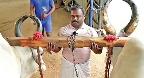 மக்களின் கவனம் ஈர்த்த மாட்டுச் செக்கு எண்ணெய்: கரோனா ஊரடங்கில் சாதித்த கோவை பட்டதாரி விவசாயி