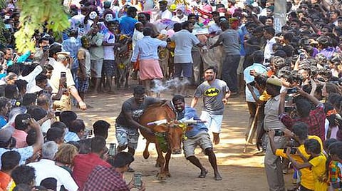 கோப்பு படம்