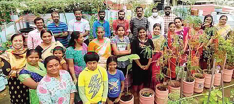 வாட்ஸ் அப் வழியே விவசாயம்