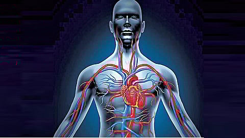 கனியும் கணிதம் 48: உடலுக்குள் எண்ணிக்கையா?