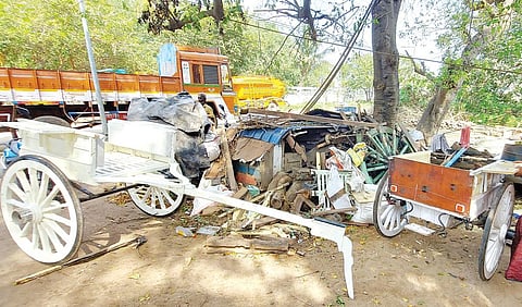 ஆனைமலையில் ரேக்ளா பந்தயத்துக்காக தயாராகி வரும் ரேக்ளா வண்டி.