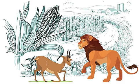 கதை: யாருக்குப் பரிசு?