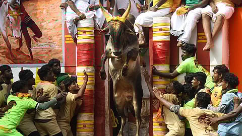 கோப்புப்படம்