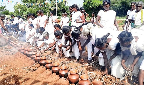 வெள்ளை சேலை உடுத்தி பொங்கல் வைத்த பெண்கள் - சிவகங்கை அருகே 100+ ஆண்டுகளாக நடக்கும் விழா