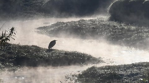 கோப்புப்படம்