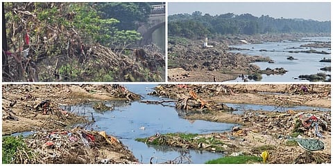 குப்பைக் கூளமாக காட்சியளிக்கும் தாமிரபரணி ஆறு