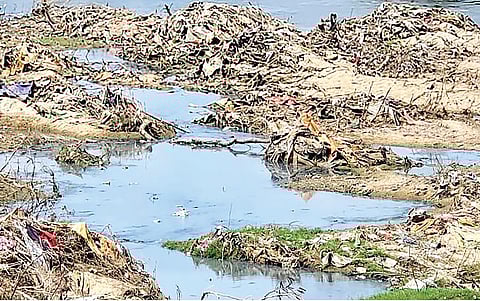 குப்பைத் தொட்டியா தாமிரபரணி?